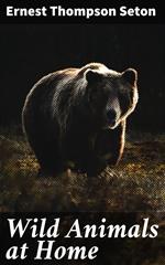 Wild Animals at Home