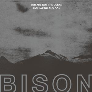 You Are Not the Ocean. You Are the Patient - CD Audio di Bison