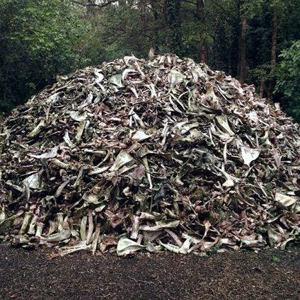 II - CD Audio di Briqueville