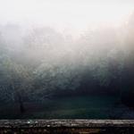 Spectral