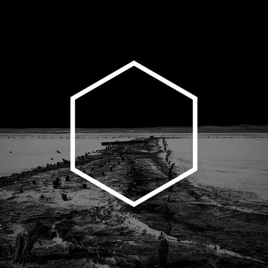 The Dark Places Of The Earth - Vinile LP di Lustmord