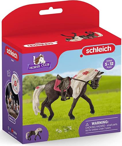 Horse Club Schliech-S 42469 Giumenta Rocky Mountain Concorso Equestre
