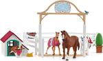 Horse Club Schliech-S 42458 Horse Club Per Ospitare Cavalli Di Hannah Con Cagnol