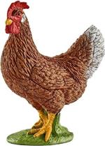 Gallina (13826)