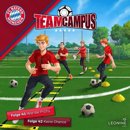Folgen 41-42: Wie die Profis