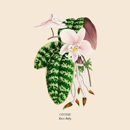 Rave Baby (Coloured Vinyl) - Vinile LP di Cinthie