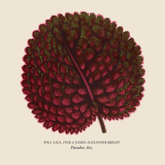 Paradise Ave - Vinile LP di Will Saul