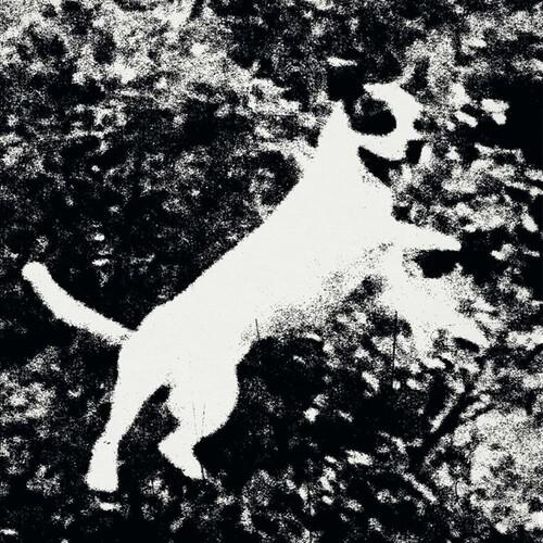 Azura - Vinile LP di Edmondson