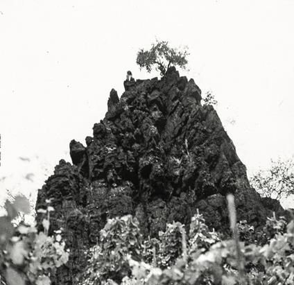 Winterswell - Vinile LP di Kat Davids