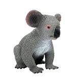 Safari - Koala