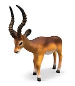 Safari - Antilope