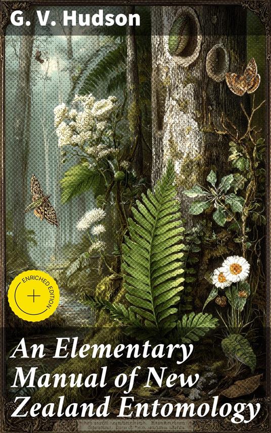 An Elementary Manual of New Zealand Entomology