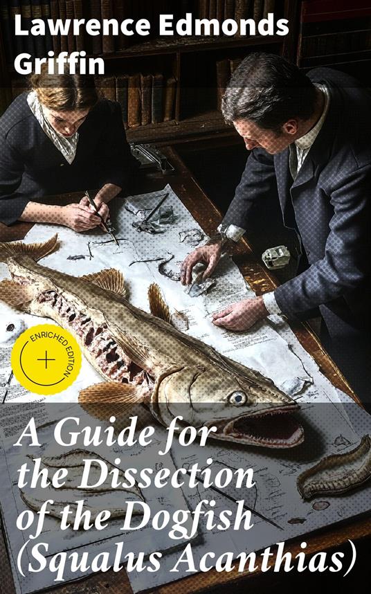 A Guide for the Dissection of the Dogfish (Squalus Acanthias)
