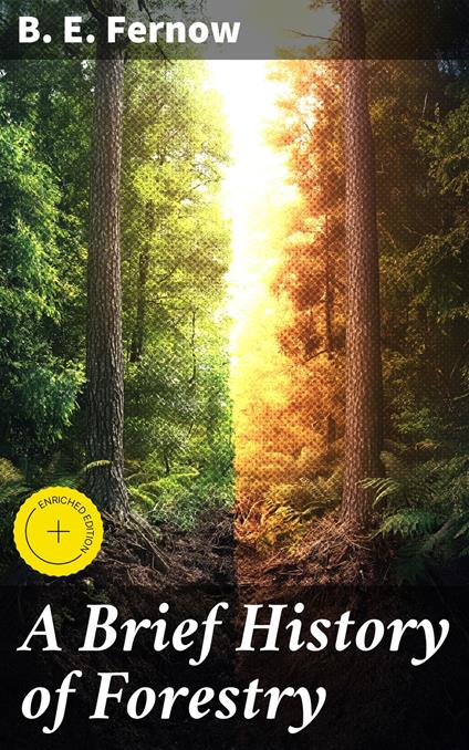 A Brief History of Forestry