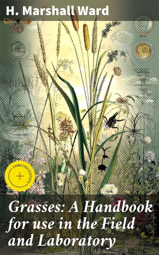 Grasses: A Handbook for use in the Field and Laboratory