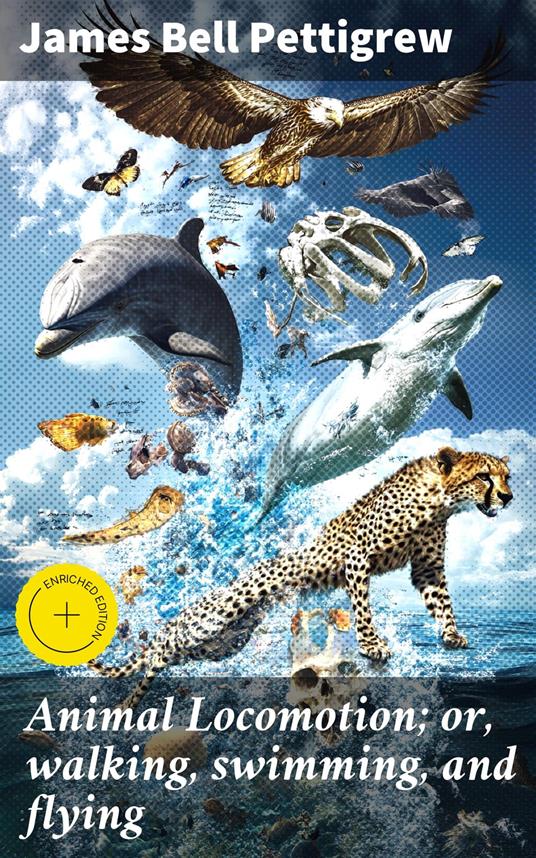 Animal Locomotion; or, walking, swimming, and flying