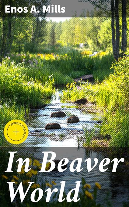 In Beaver World
