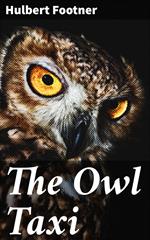 The Owl Taxi