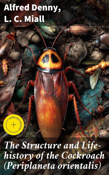 The Structure and Life-history of the Cockroach (Periplaneta orientalis)