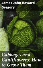 Cabbages and Cauliflowers: How to Grow Them