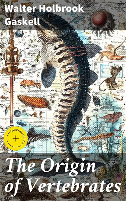 The Origin of Vertebrates