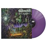 Dark Superstition (Purple Vinyl)
