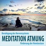 Meditation Atmung, Beruhigung des Nervensystems und Förderung der Homöostase - Bewusst Atmen - angeleitete Übung