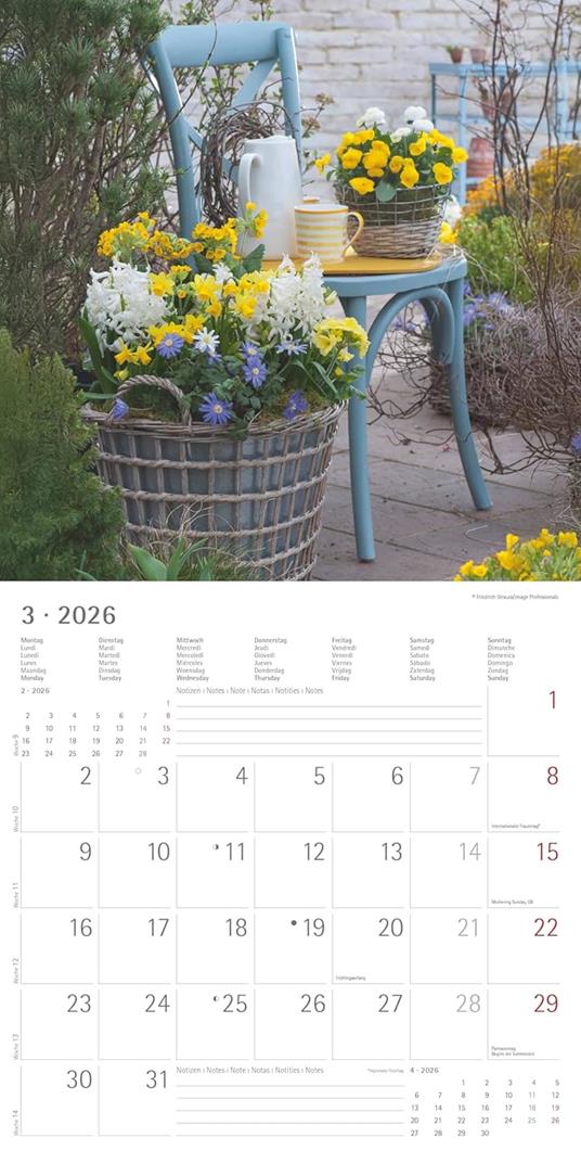ALPHA EDITION - Calendario 2026 da muro, 12 mesi, 30x30 cm, Garden & Decoration - 6