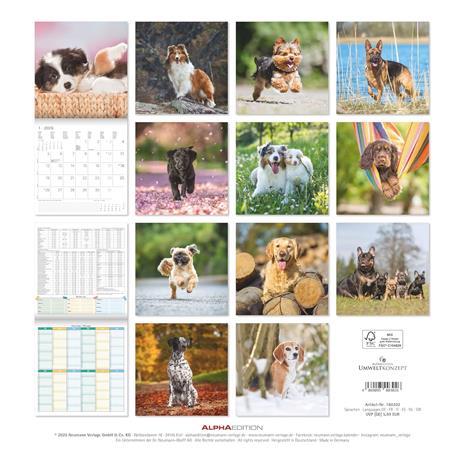 ALPHA EDITION - Calendario 2026 da muro, 12 mesi, 30x30 cm, Dogs - 2