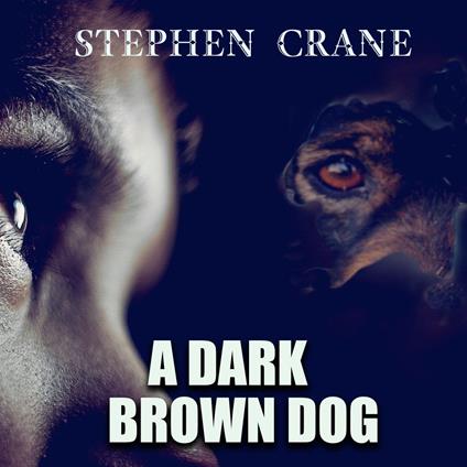 A Dark Brown Dog