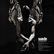 Antidepressants (LP 140 gr. Gatefold)