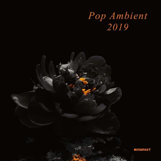 Pop Ambient 2019 - CD Audio
