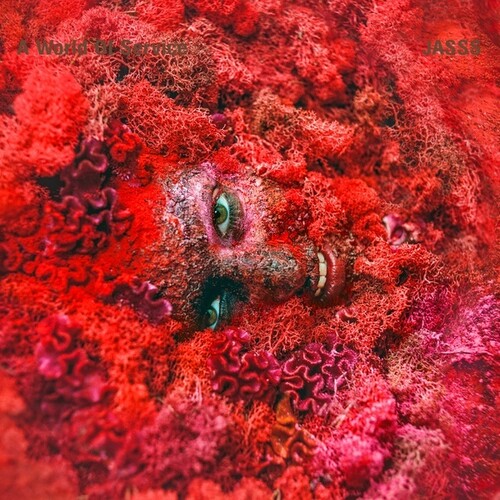 Hole Records