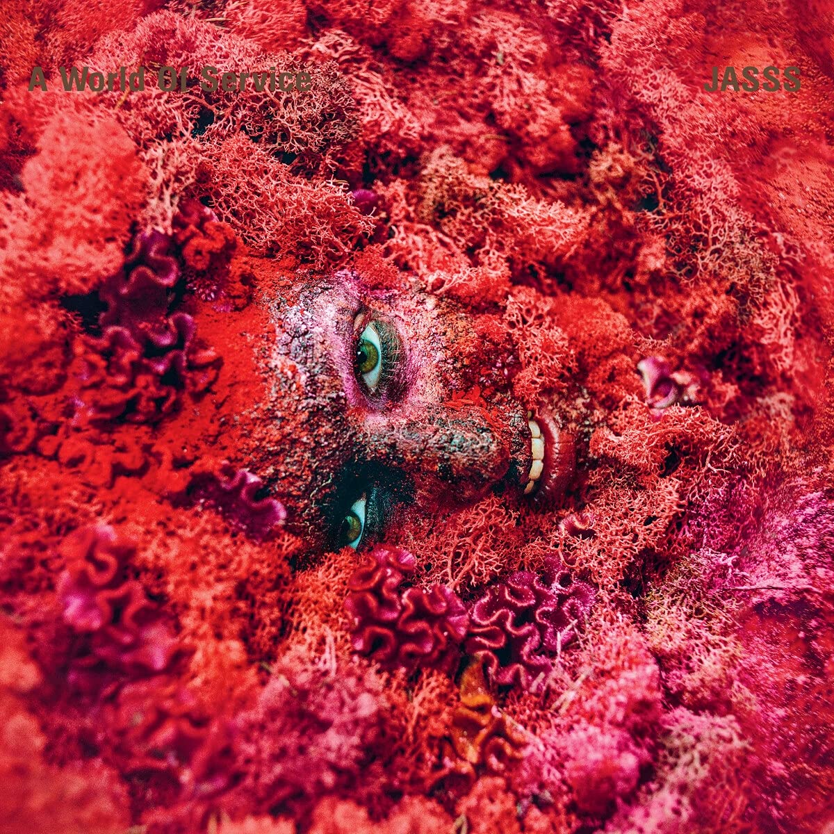 Hole Records