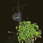 Down On Darkened Meetings (Lp + Download)