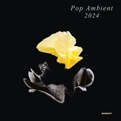 Pop Ambient 2024 - CD Audio