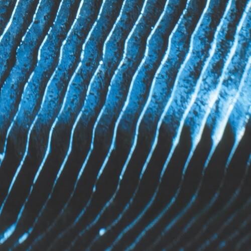 Gravity (2 LP) - Vinile LP di Monolake