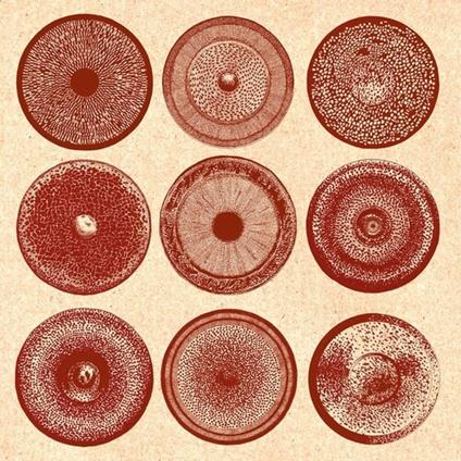 Spilla - Vinile LP di Ensemble Nist-Nah