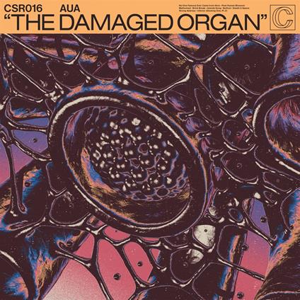 Damaged Organ - Vinile LP di Aua