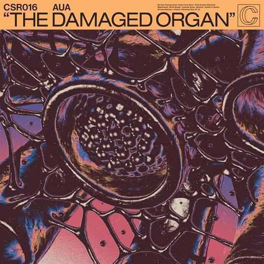 Damaged Organ - Vinile LP di Aua