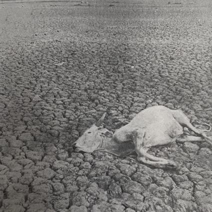 Omnes Nihil - CD Audio di Vukari