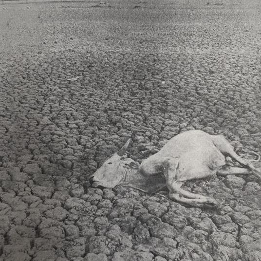 Omnes Nihil - CD Audio di Vukari