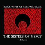 The Sisters of Mercy Trubute