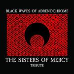 The Sisters of Mercy Trubute