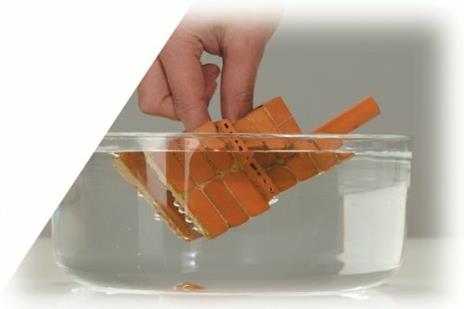 Malta Teifoc 1 Kg - 7