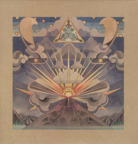 Fields - Vinile LP di Junip