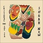 Sugar Now