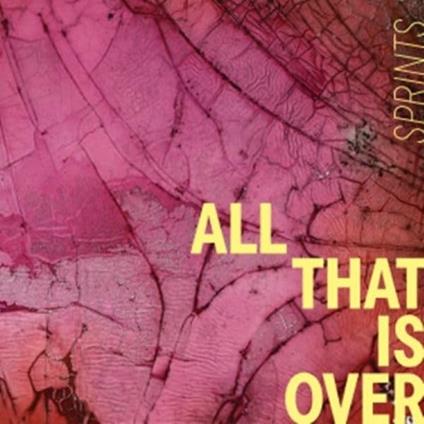 All That Is Over - CD Audio di Sprints