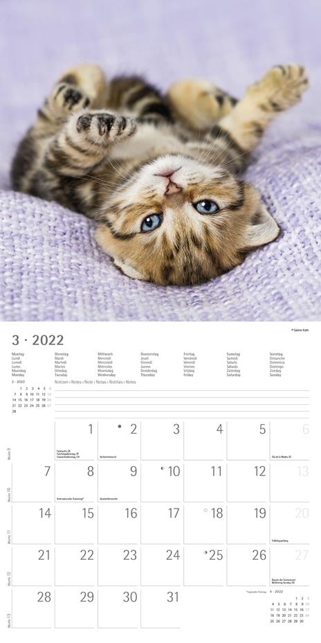 Calendario 2022 da muro Alpha Edition, Gattini, 12 mesi, 30x30 cm - 5