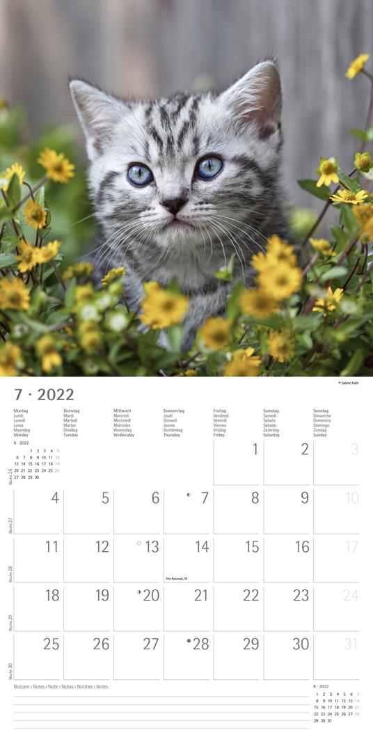 Calendario 2022 da muro Alpha Edition, Gattini, 12 mesi, 30x30 cm - 9